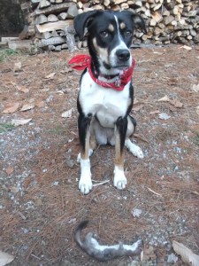 DSCF2114-Greta+Weasel-SMALL-www.MarekBennett.com