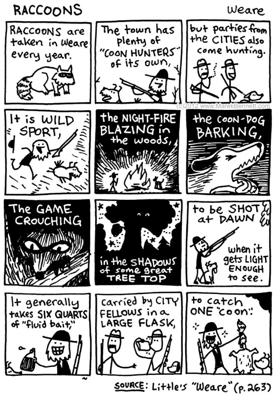 Little-263-02-Raccoon-www.MarekBennett.com