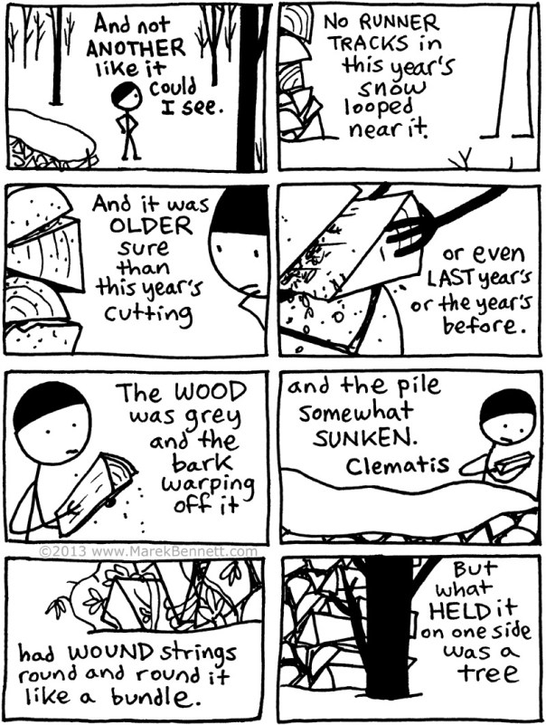 Poetry-Frost-TheWood-pile-04-www.MarekBennett.com